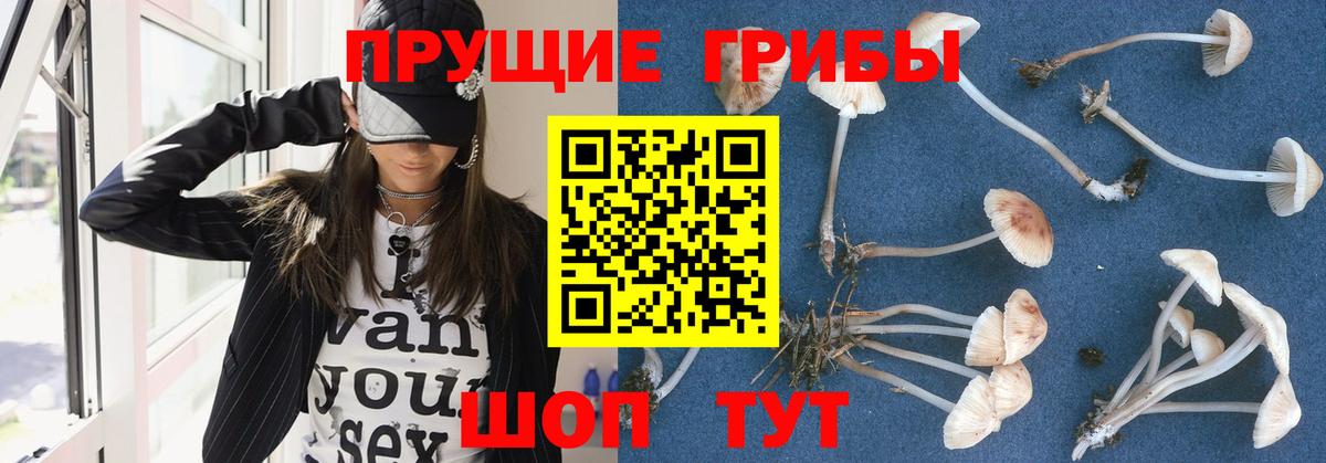 Галлюциногенные грибы Psilocybine cubensis  Вход с VPN  Галлюциногенные грибы мухоморы  Искитим 